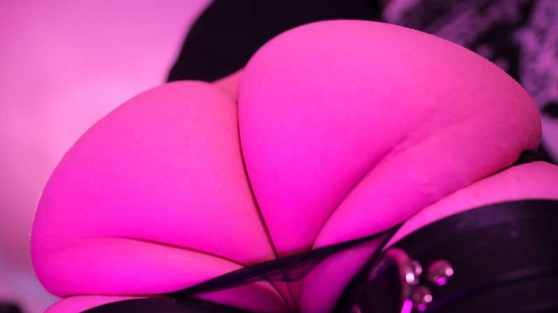 thedissounds image #54