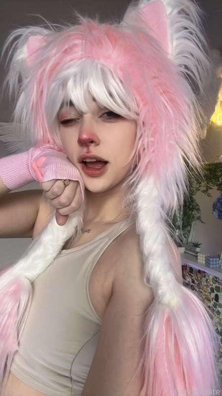 indigowhite image #250