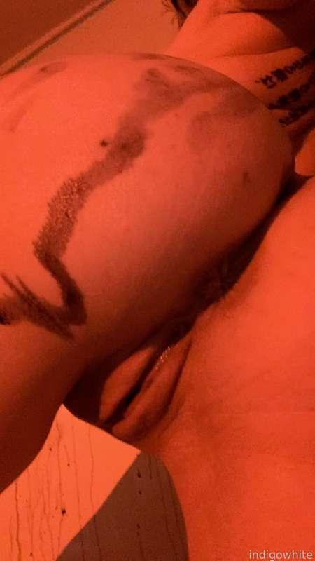 indigowhite image #19