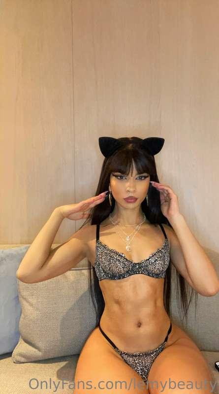 Here *kitty kitty* 🐱