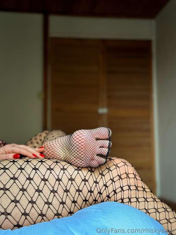Any fishnet fetish lovers around?