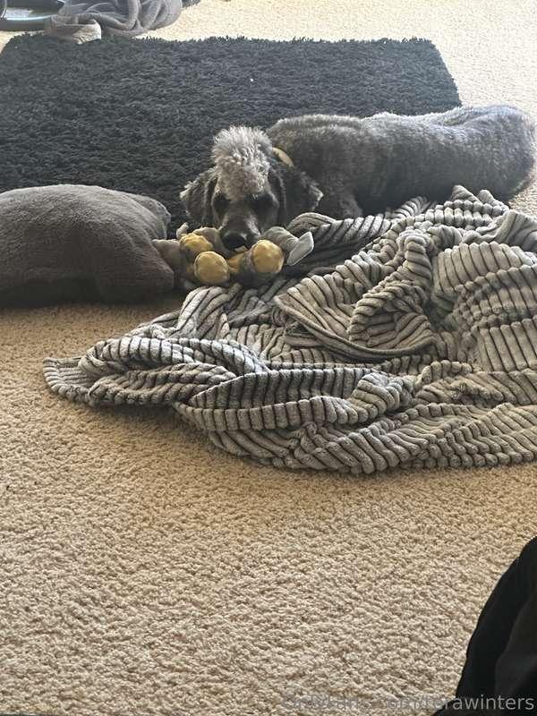 My boy 🥰