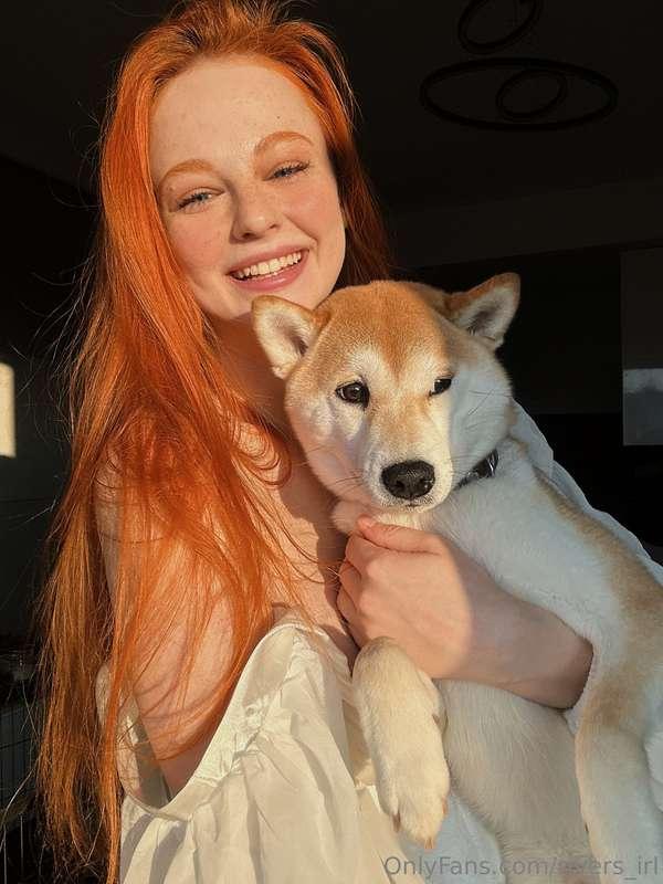 one of us is ready for picturesthe other one is a shiba