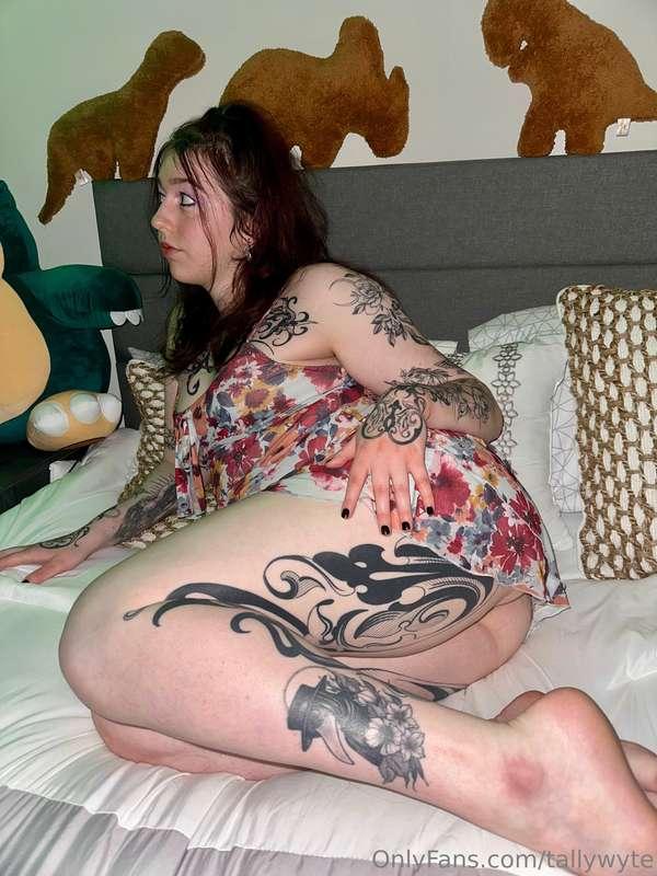tallywyte image #1