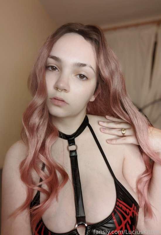luciuskitten image #1