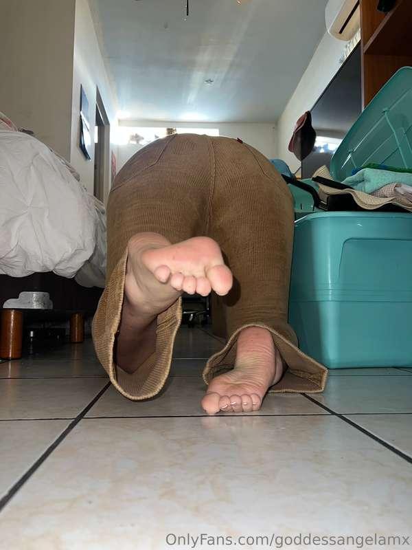 Ready to suck my toes? 👅