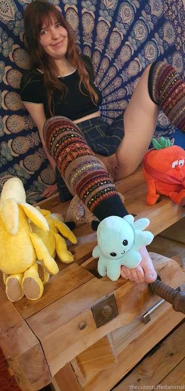 thecutestuffedanimal image #3