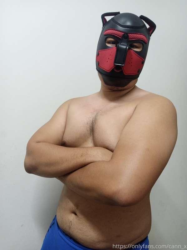 kenhugebear main image