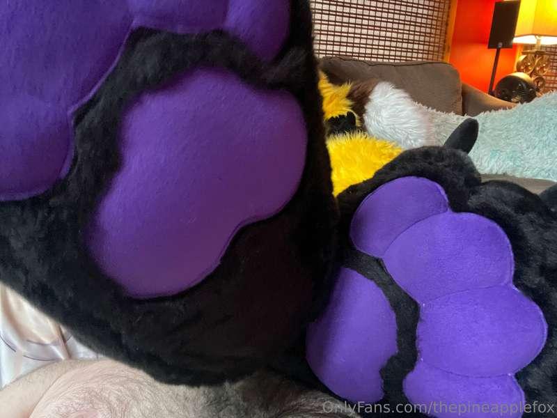 thepineapplefox image #2