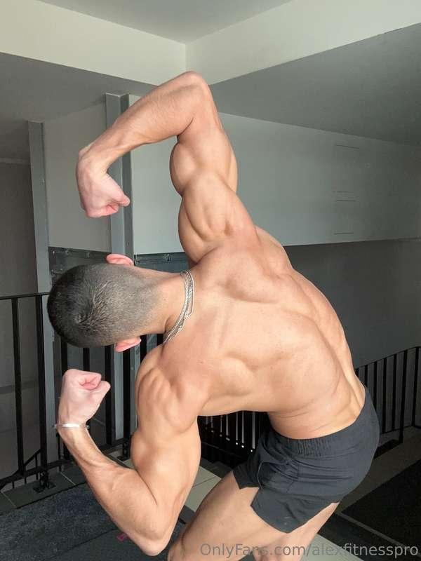 alexfitnesspro image #23