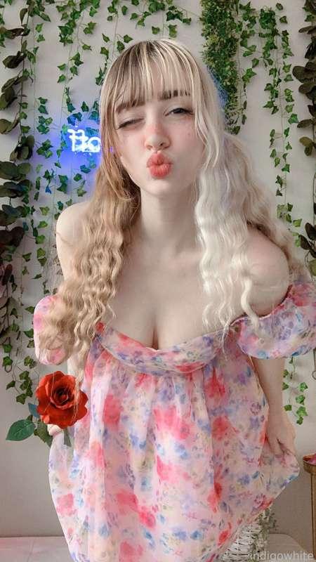 indigowhite image #30