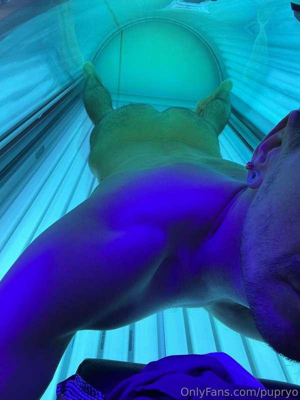 Who is gonna meet this pup in the tanning room? 