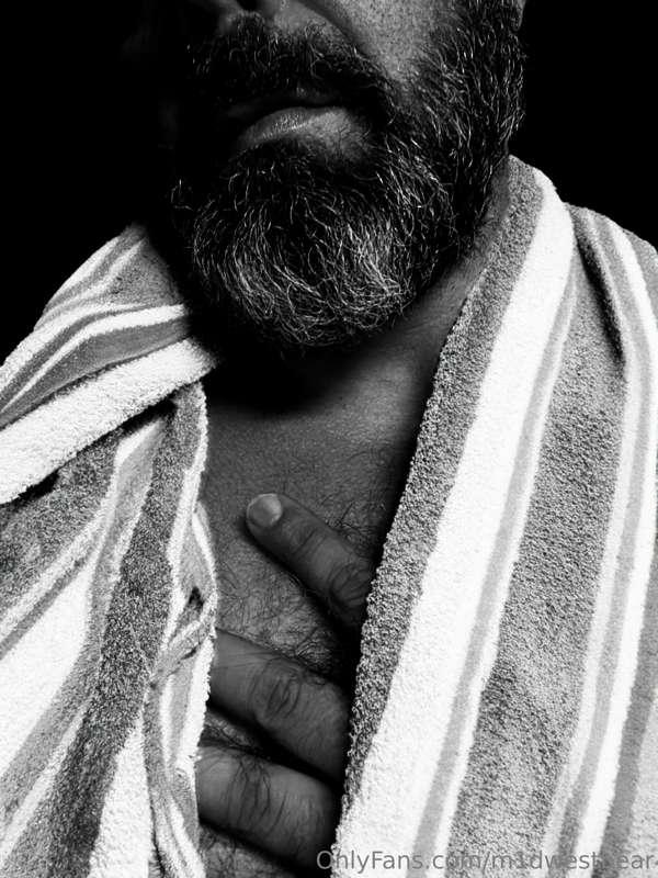 m1dwestbear image #1