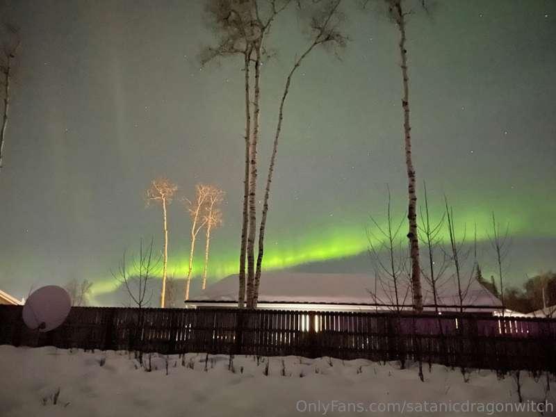 Northern Lights in my back yard 🤓