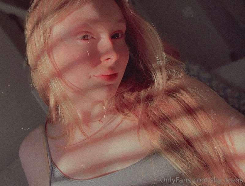 shy_trans image #0