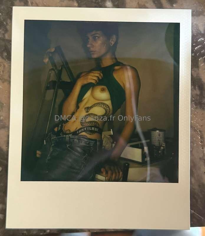 Un petit nouveau Polaroïd 🐊