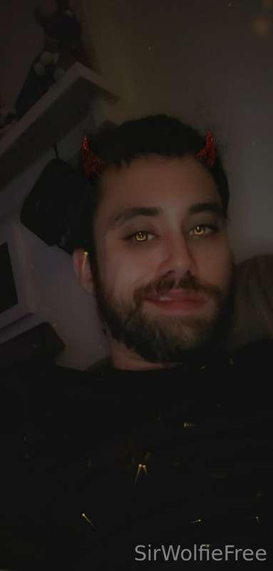 sirwolfiefree image #0