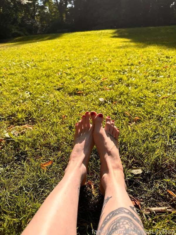 mistresslilymay image #1