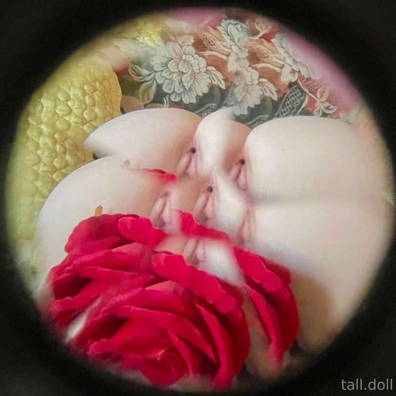 tall.doll image #5