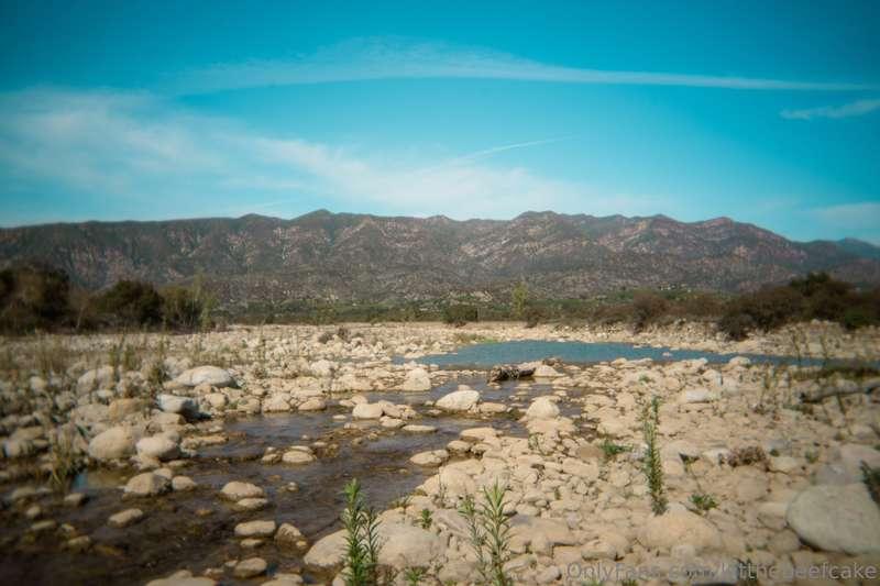 kitthebeefcake image #0