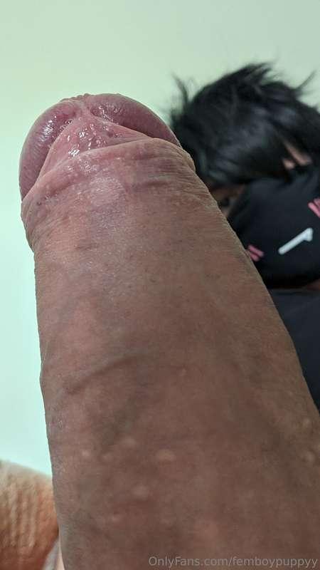 femboypuppyy image #10
