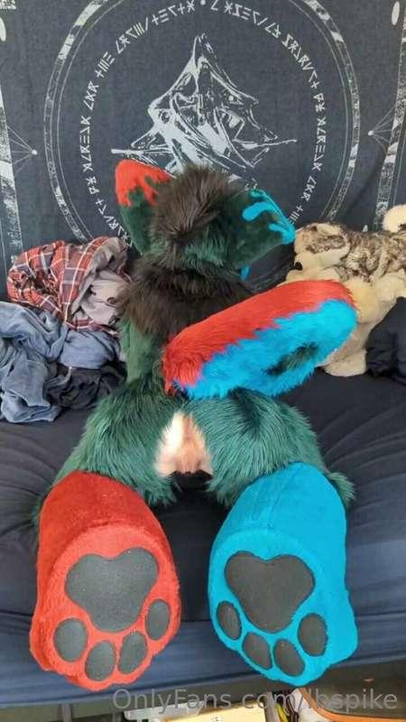 I haven't uploaded anything in a while, so enjoy some pictur..