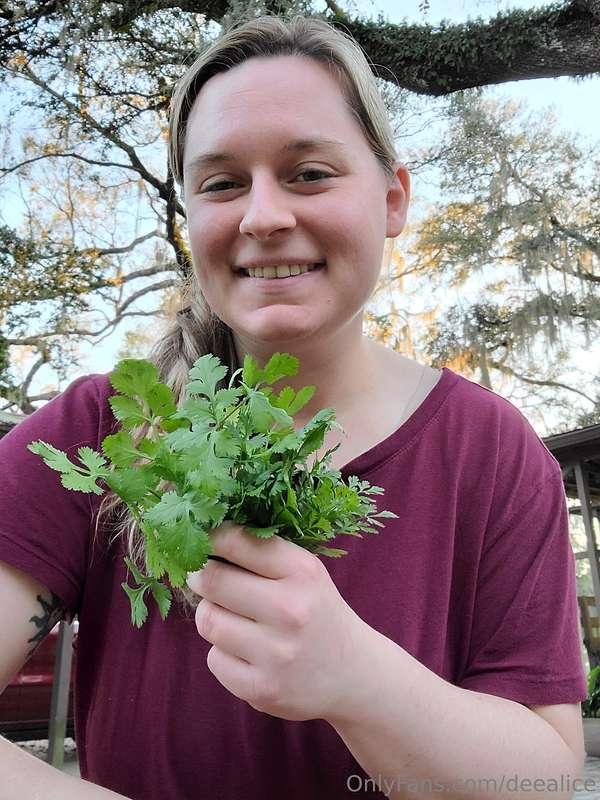 Fresh garden herbs! 😃 too bad you weren't here to grab a han..