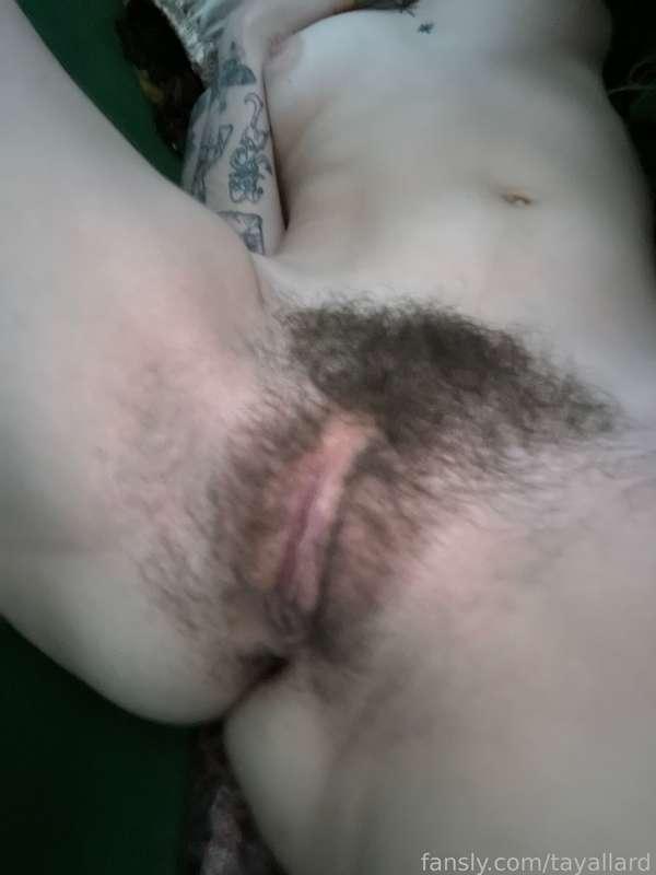 tayallard image #2