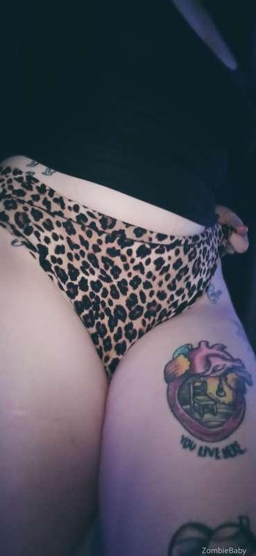 These are cute.. Right. ? /.\