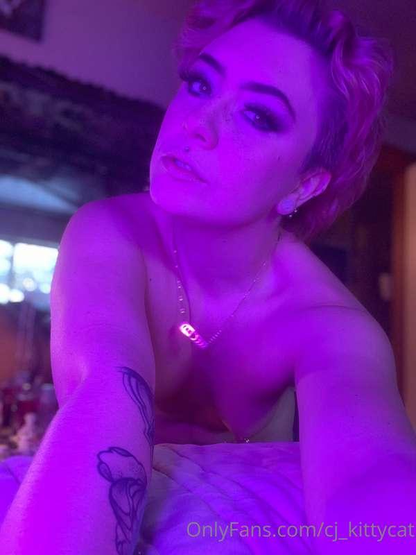 cj_kittycat image #5