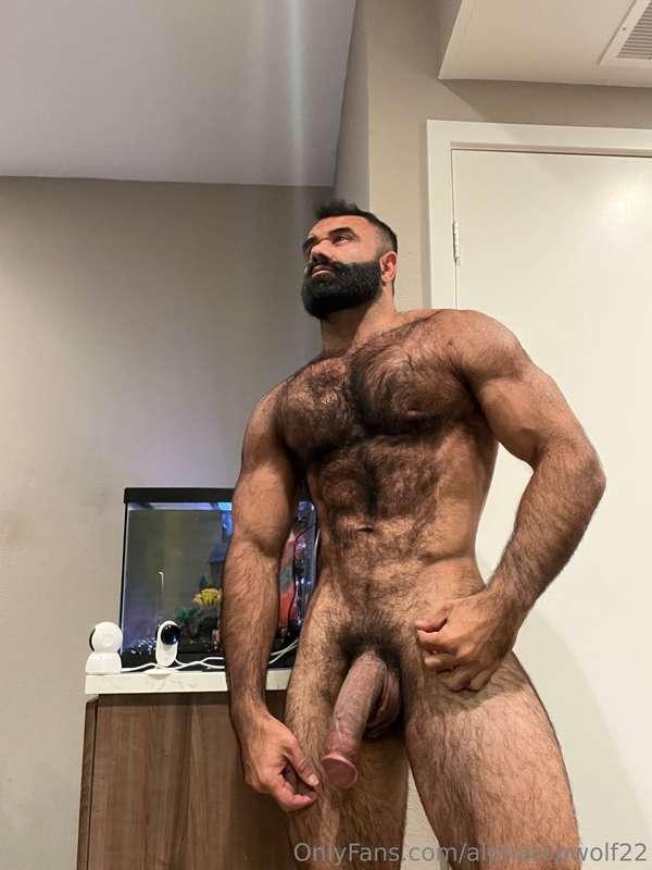 alphatopwolf22 image #2