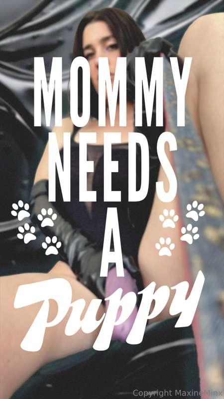 Puppy Training Week has begun🐾 Mommy needs to see who’s trul..