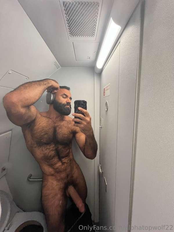 alphatopwolf22 image #1