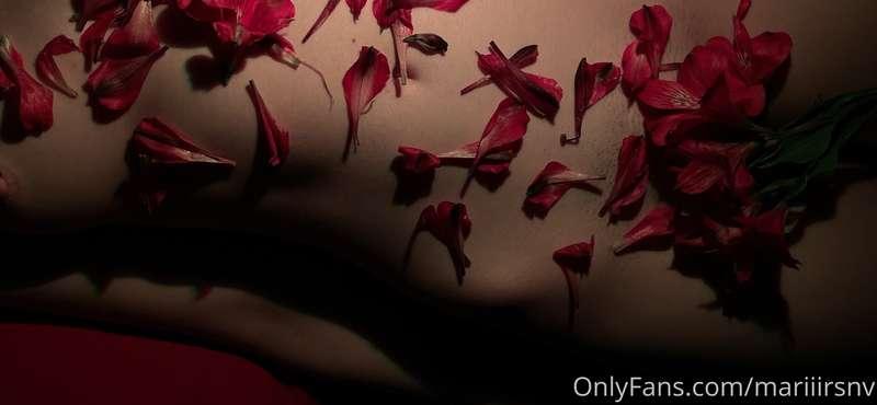 How do you like my aesthetic? 💗🥀🦋
