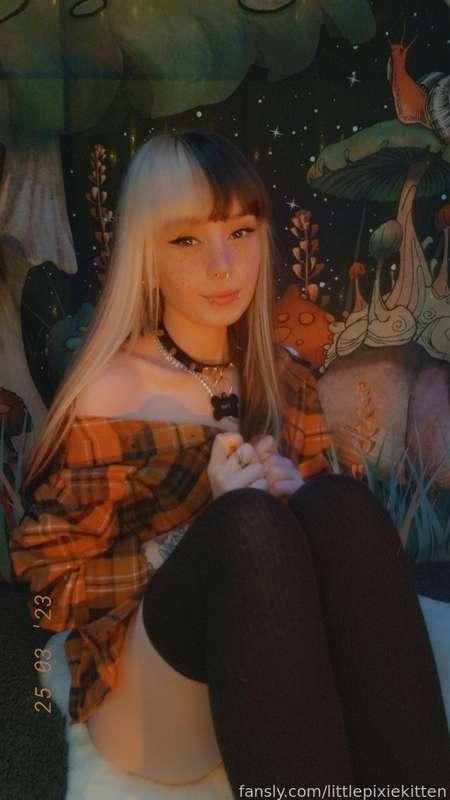 littlepixiekitten image #1