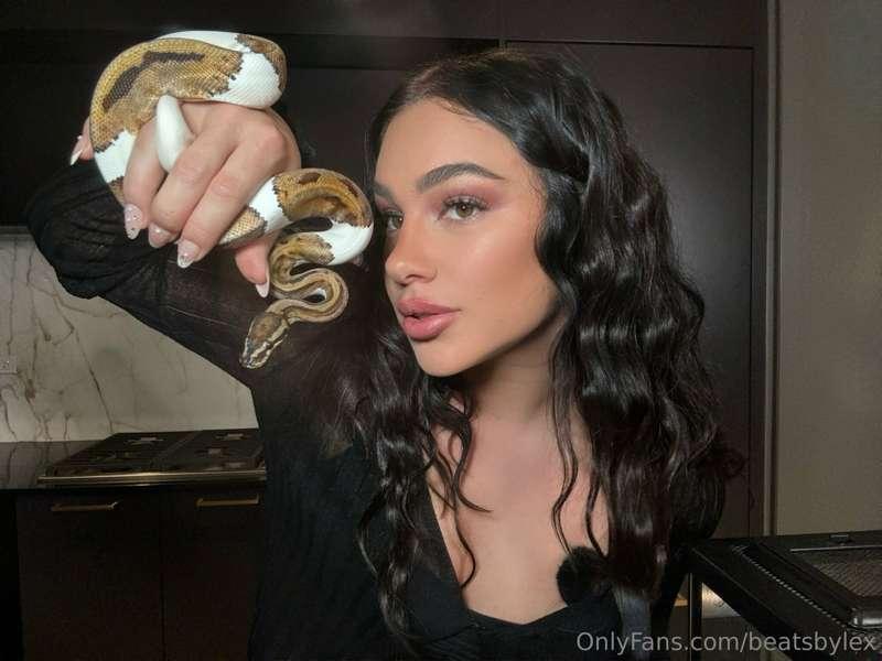 This glam snake is ready to slay🐍🥰
