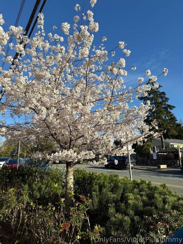 We love spring ❤️