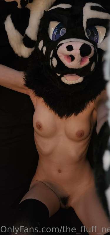 the_fluff_nextdoor image #5