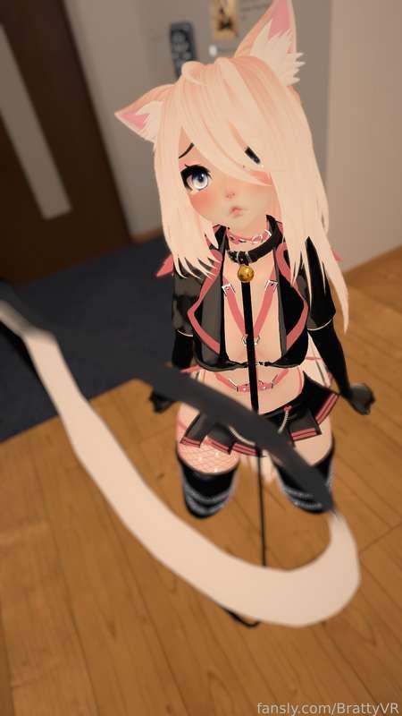 Your kitty needs to be walked 🥺
