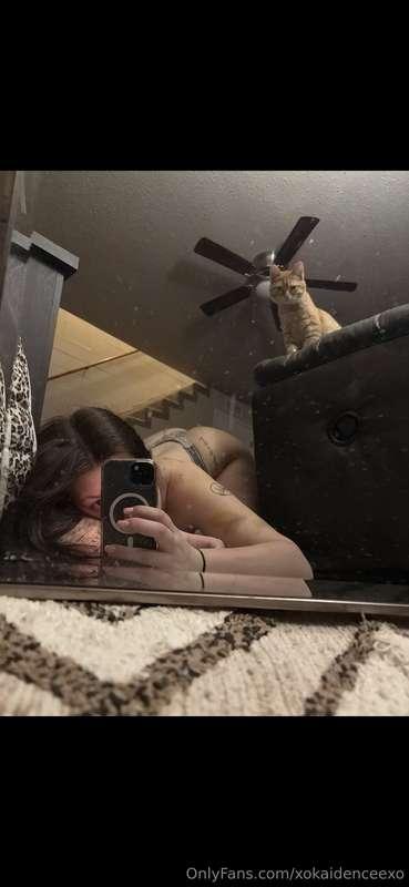 🍑🍑🍑🍑🍑