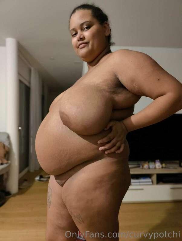curvypotchi image #0