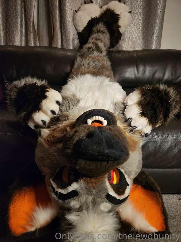 ad_rutt image #4