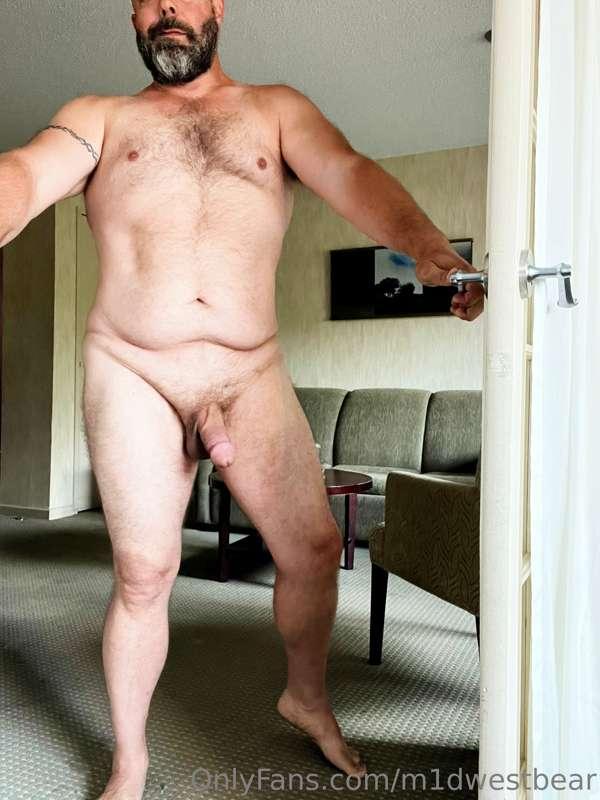 m1dwestbear image #4