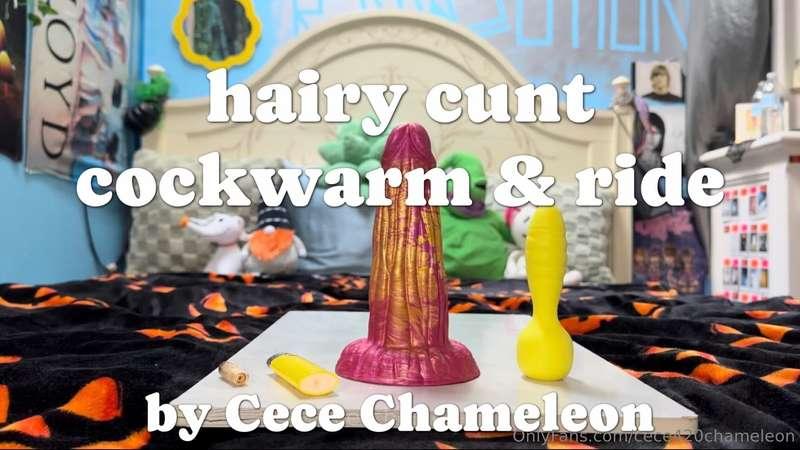 hairy cunt cockwarm & rideabout this morning…(ft: solo, hair..