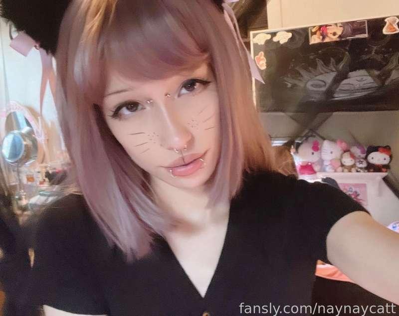 naynaycatt image #2