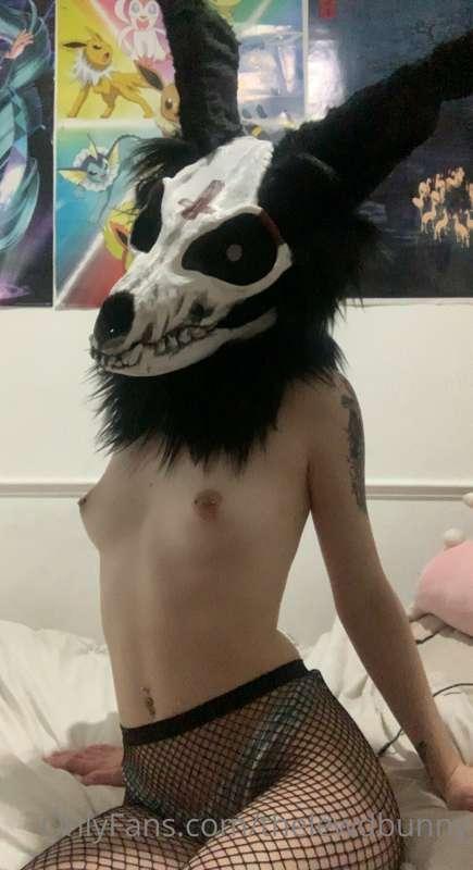 ad_rutt image #7