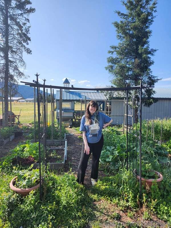 lillysxlibrary image #0