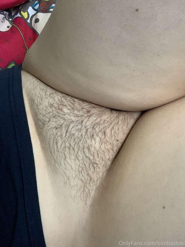Waiting to get waxed, getting hairy.
