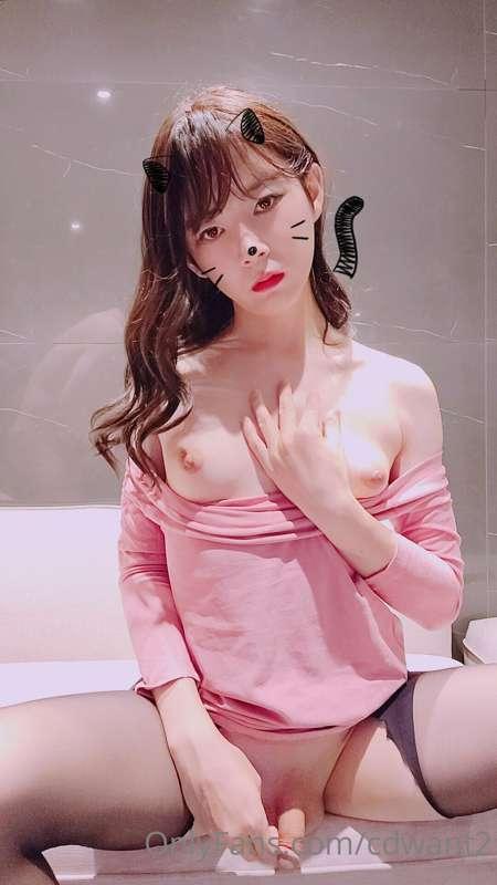 cdwant2 image #13