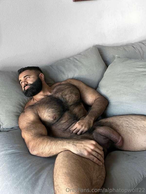 alphatopwolf22 image #3